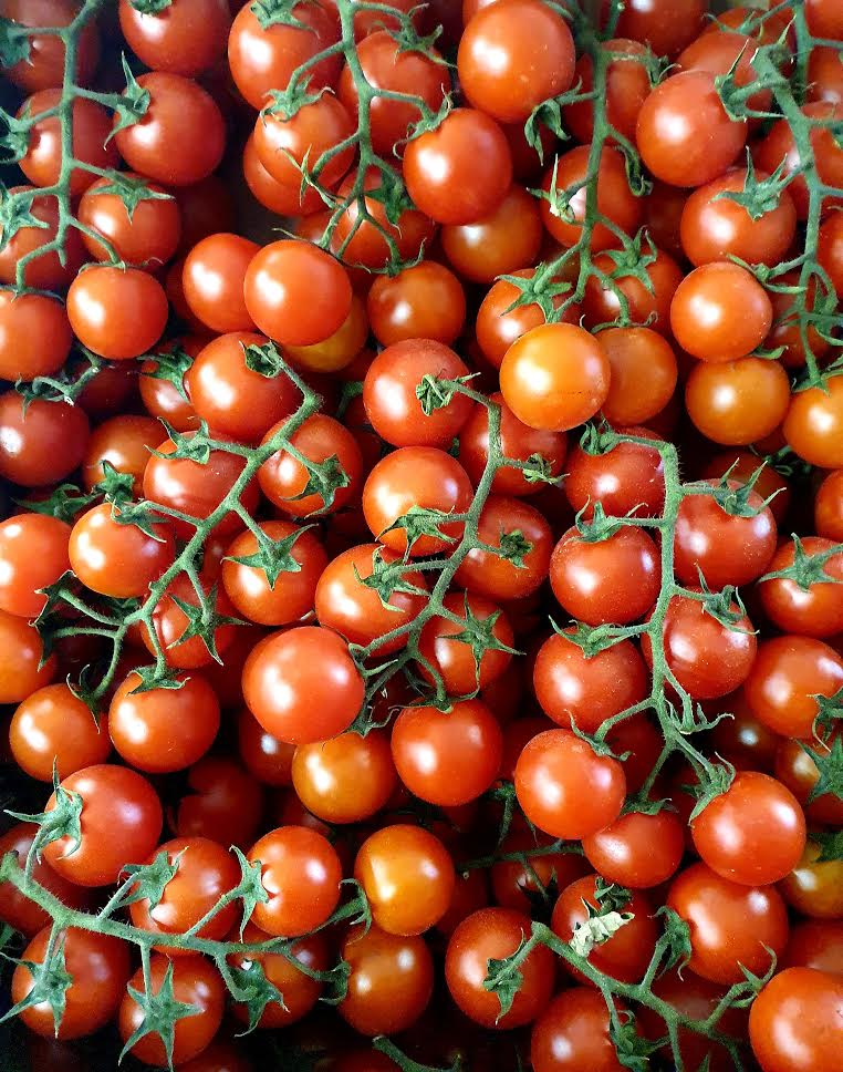 Cherry Tomato Vine