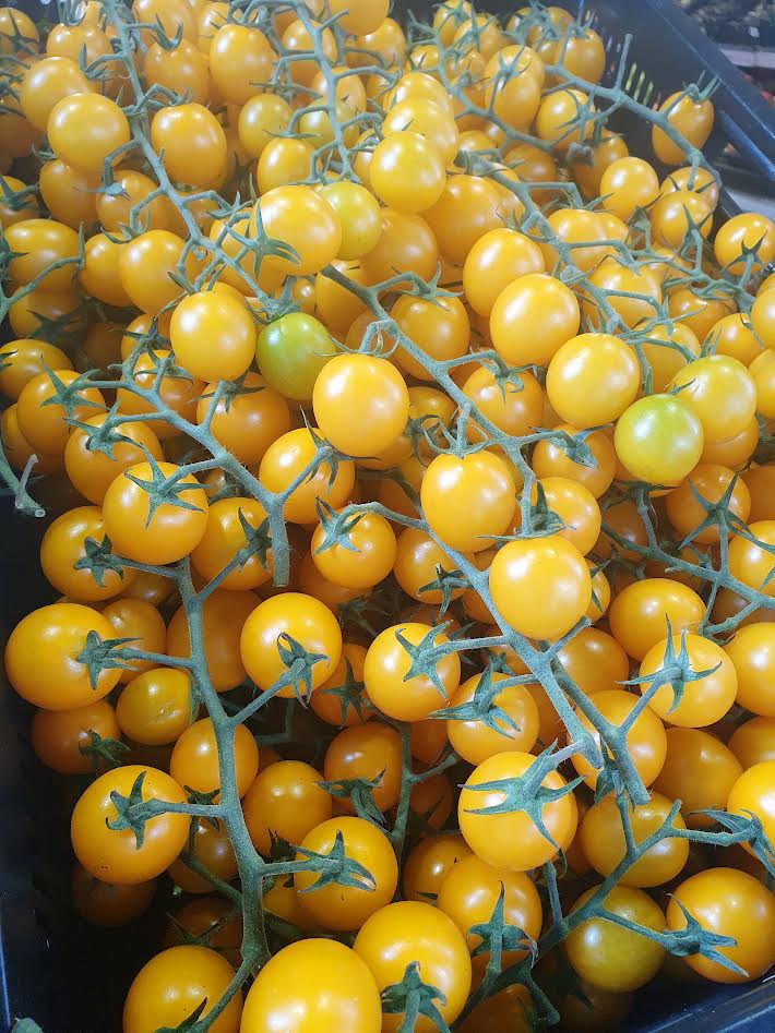 Yellow Cherry Tomato