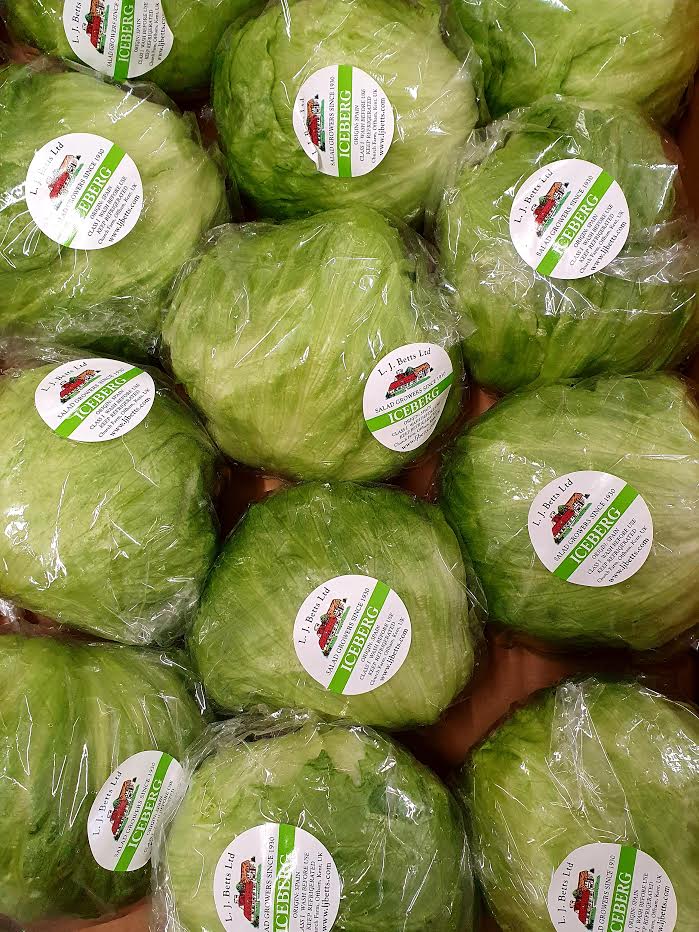 Iceberg Lettuce