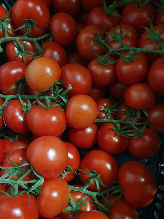Tomatoes on the Vine