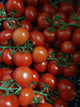 Tomatoes on the Vine