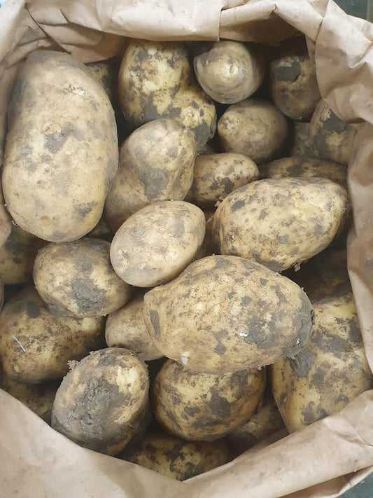 Unwashed White Picasso Potatoes