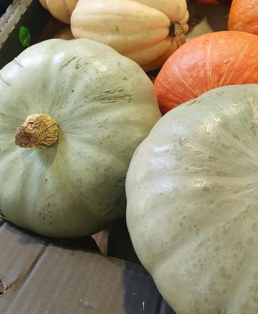 Crown Prince Squash