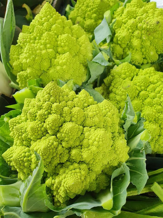Romanescu Cauliflower