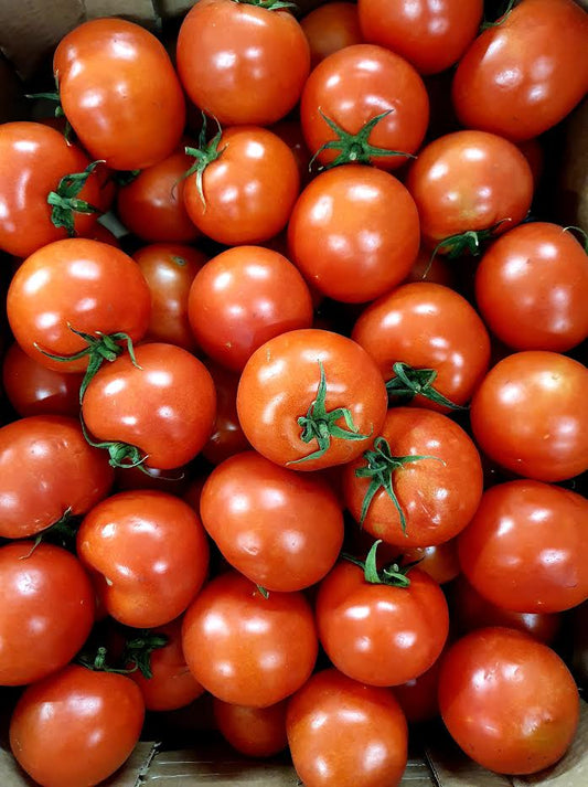 Salad Tomatoes