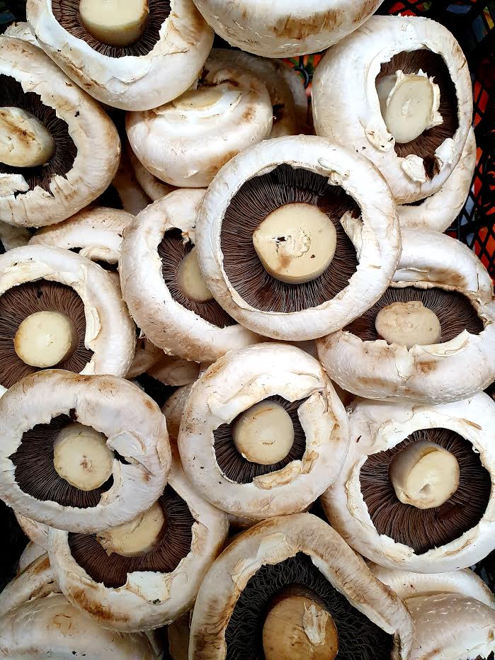 Flat Mushroom Tray