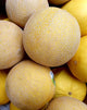 Galia Melon