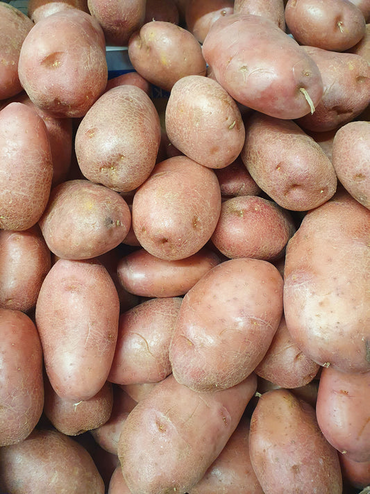 Washed Red Potato