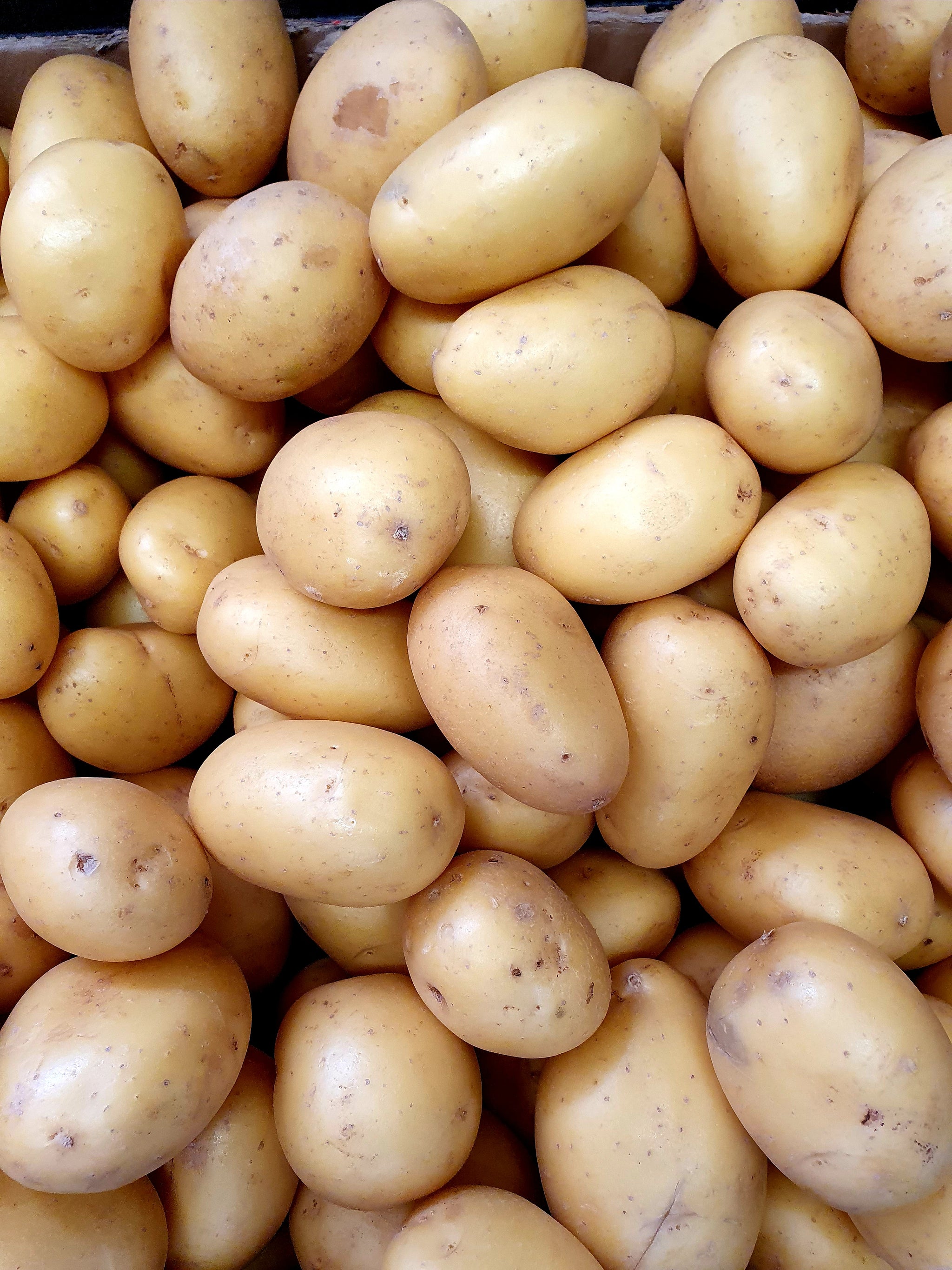 A Lot of Potatoes