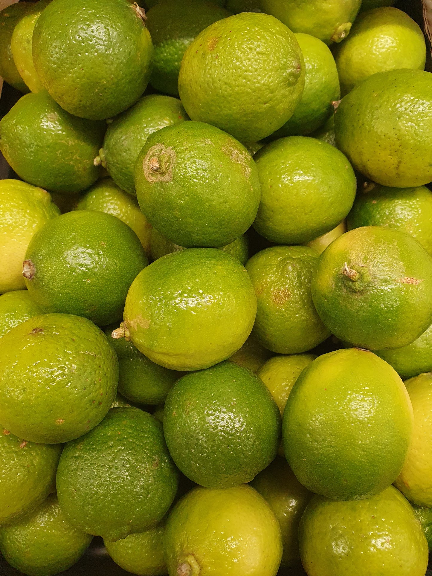 Limes