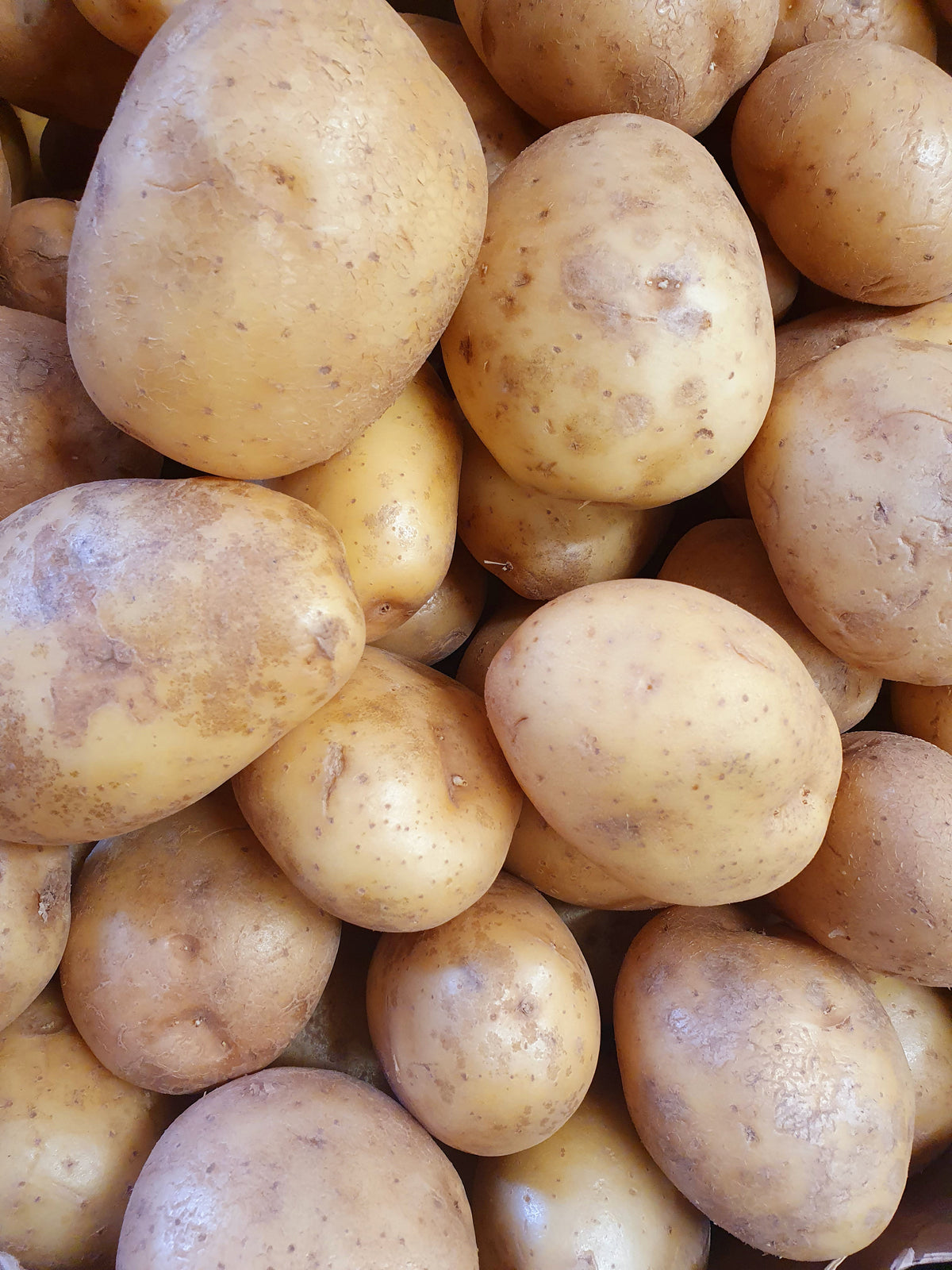 Local Washed White Potatoes