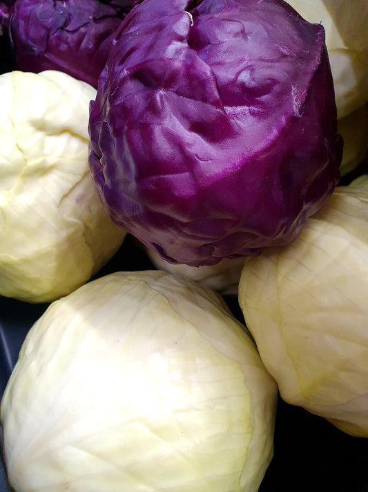 Red Cabbage