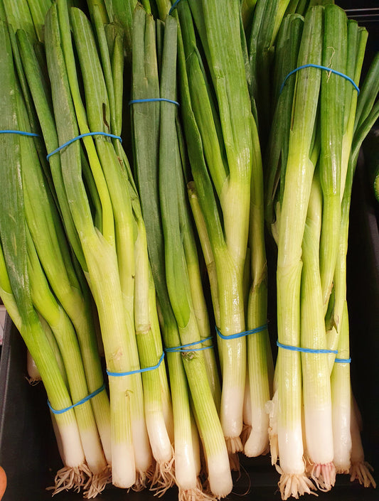 Spring Onion