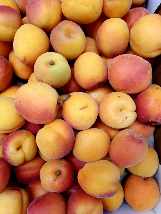 Apricots