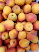 Apricots