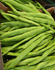 Runner Beans