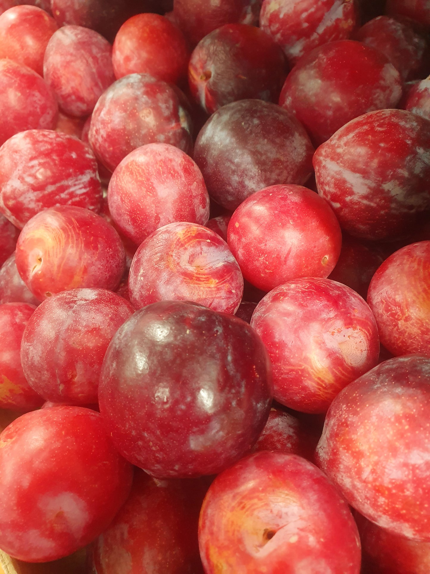 Plums