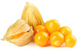 Physalis (Cape Gooseberry)